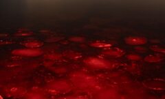 Red ice chunks float on dark water at dusk