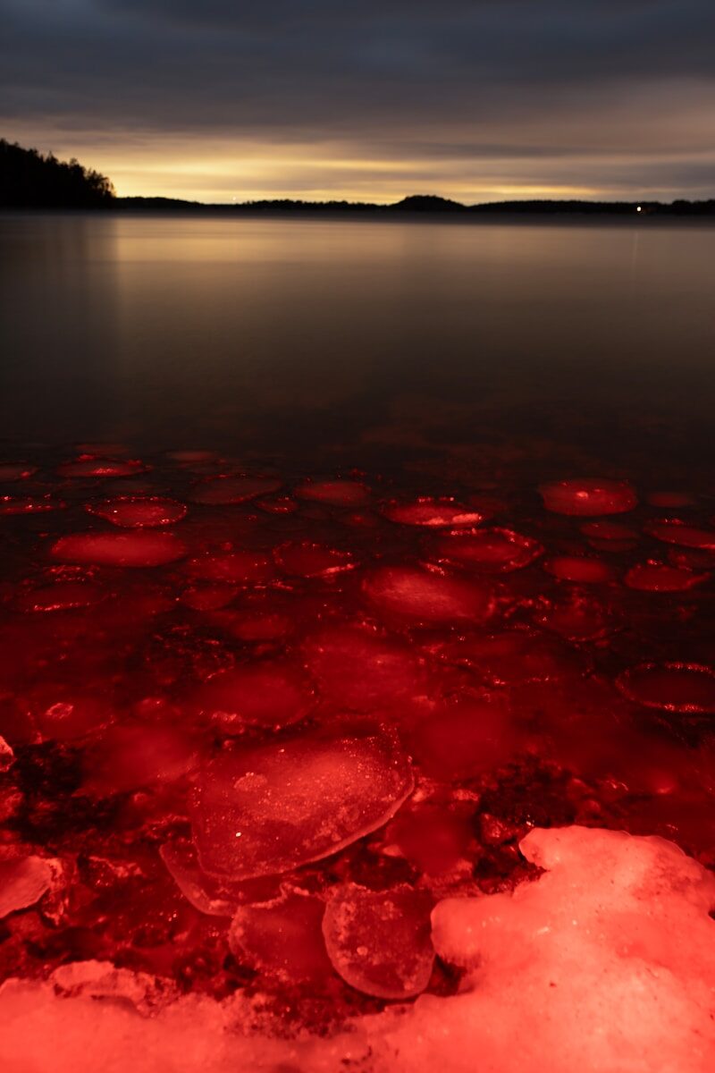 Red ice chunks float on dark water at dusk